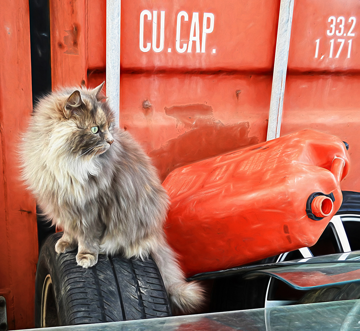 CU. CAT.