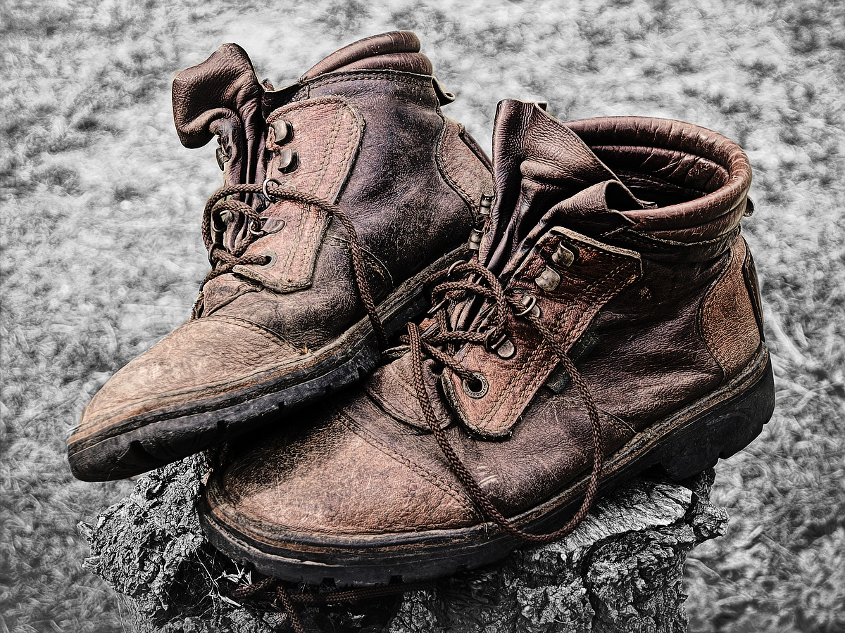 Old Faithfuls