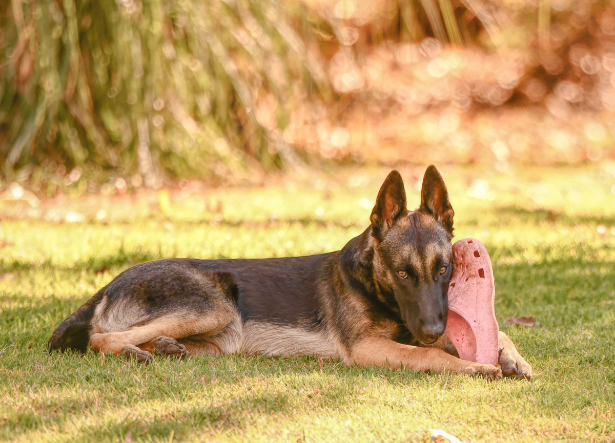 Teething footwear