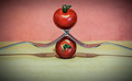 Two tomatoes