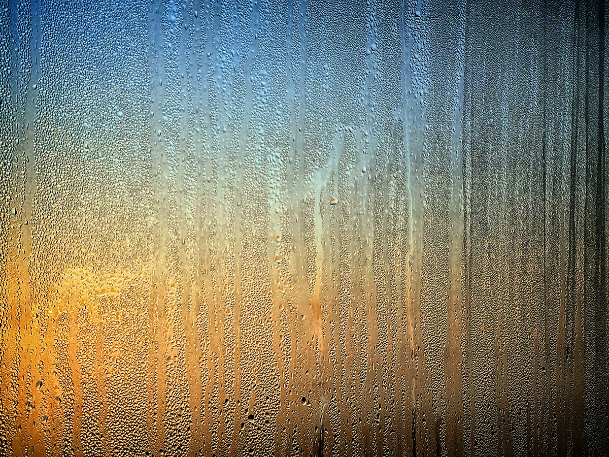On the surface of the morning