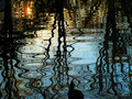 Labyrinth