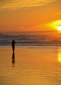 Serenity