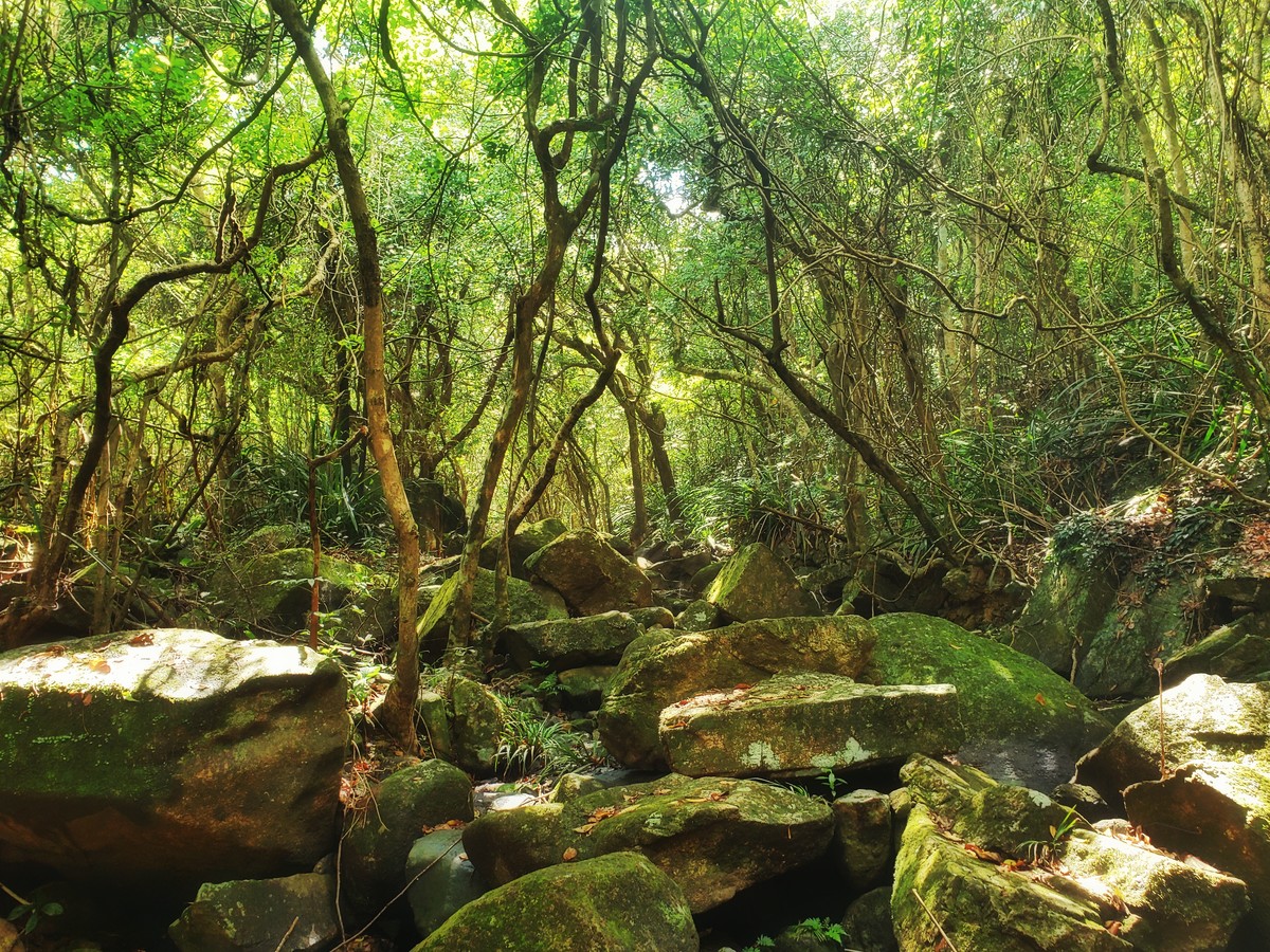 mother nature