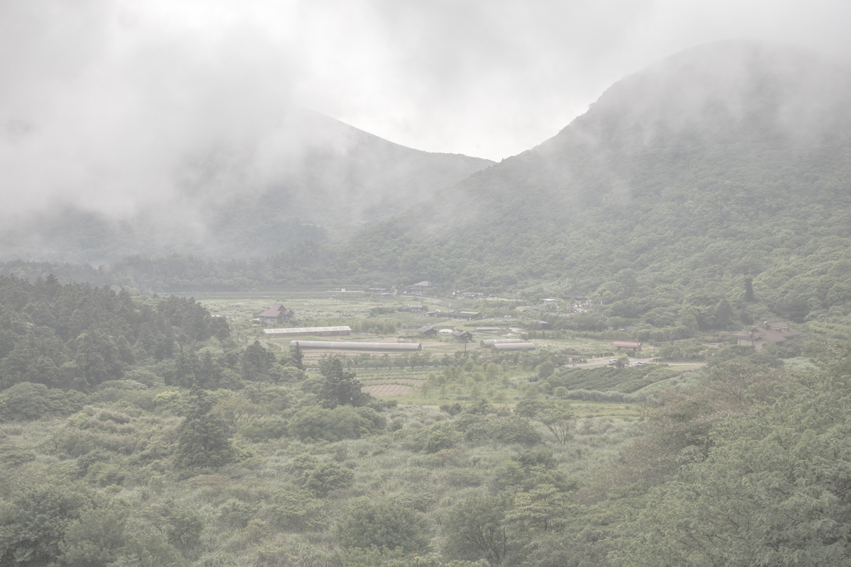 farmland in the mist