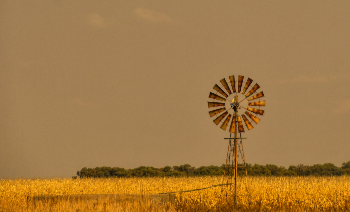 Farm scene