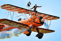 Wing Walker