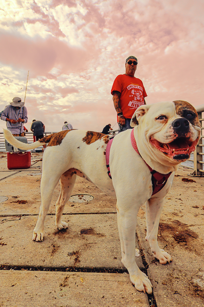 The Boss of the Pier