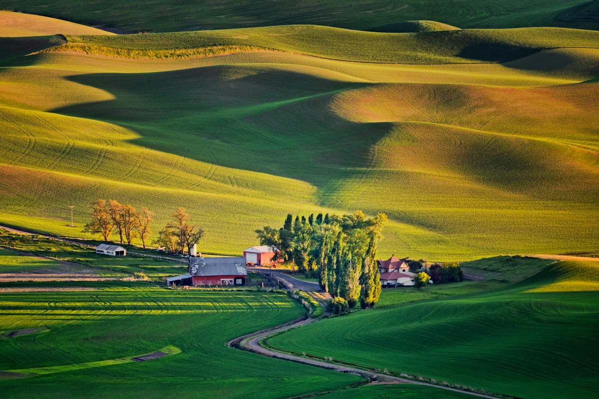 Palouse Washington Farms No. 7