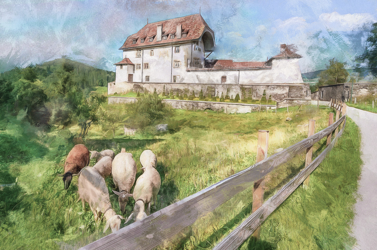 Living in the country