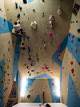 The Ascent