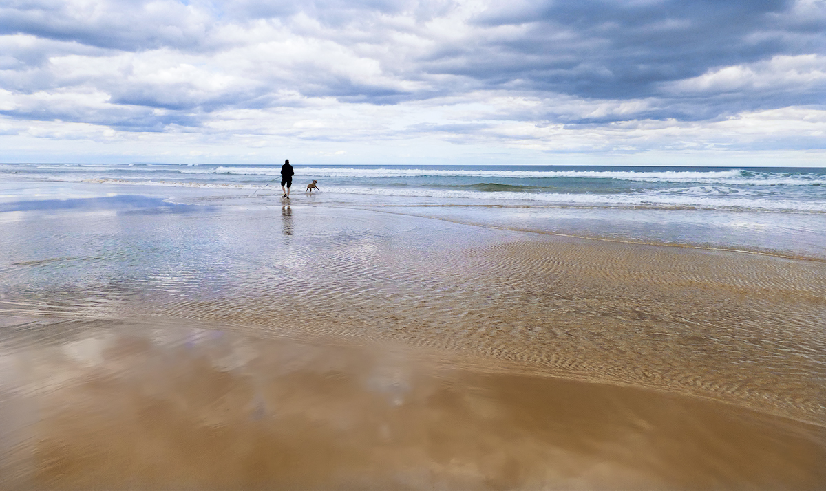 A Beach of Their Own