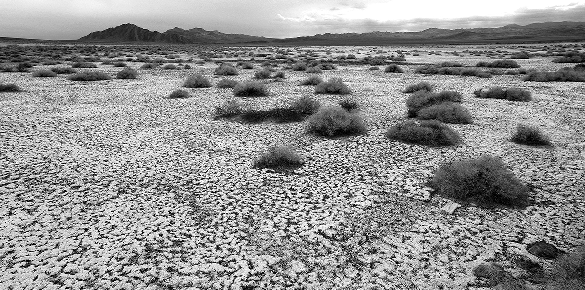 Salt Flats