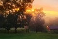 Love our front yard views!