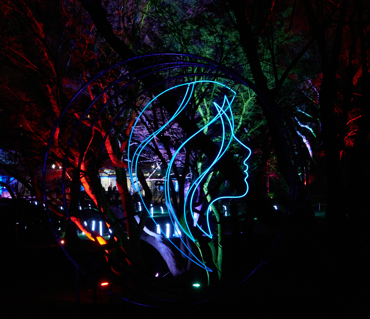 Silhouette in the Dark