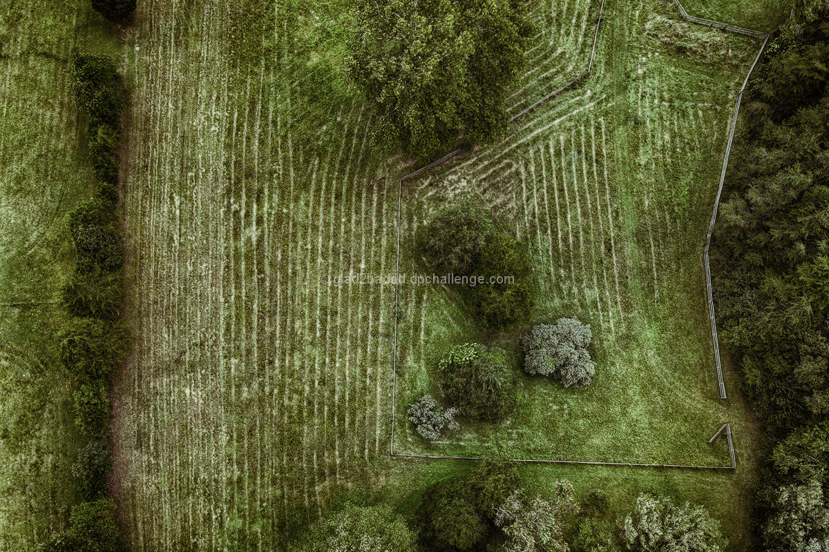 Farmer Meanderings