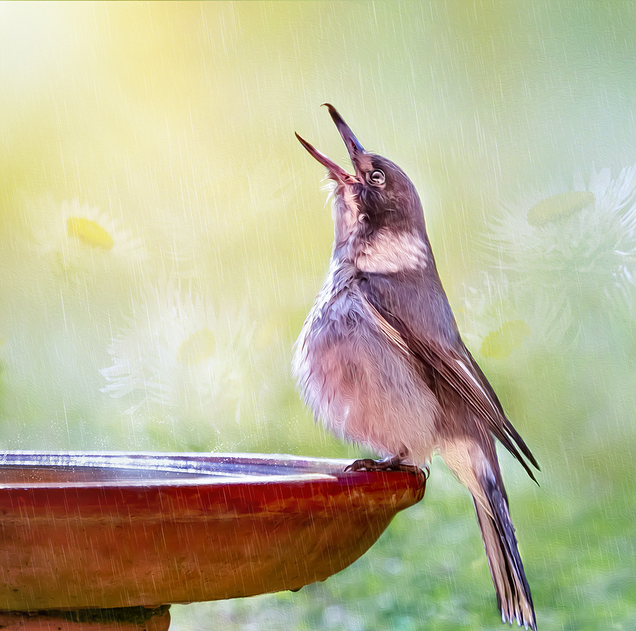 Singing in the rain