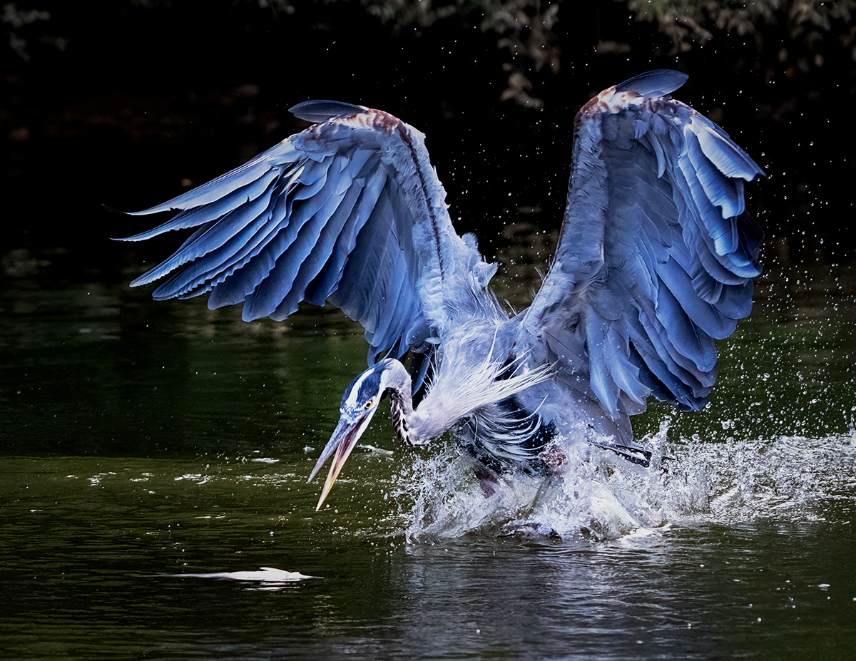 Gone Fishing