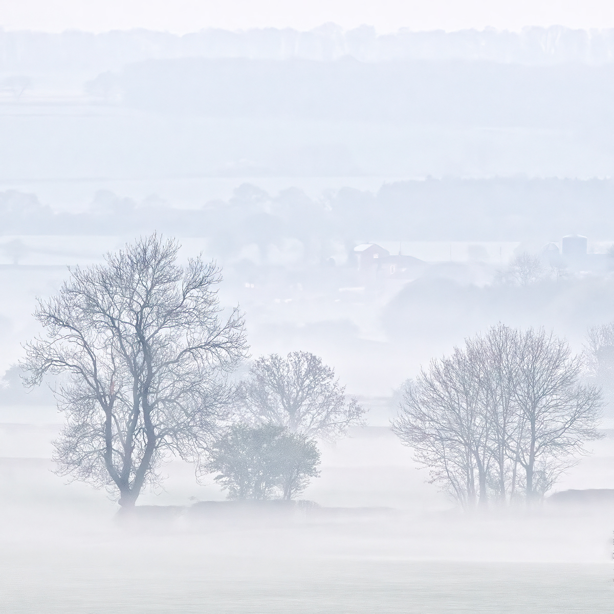 Misty Morning