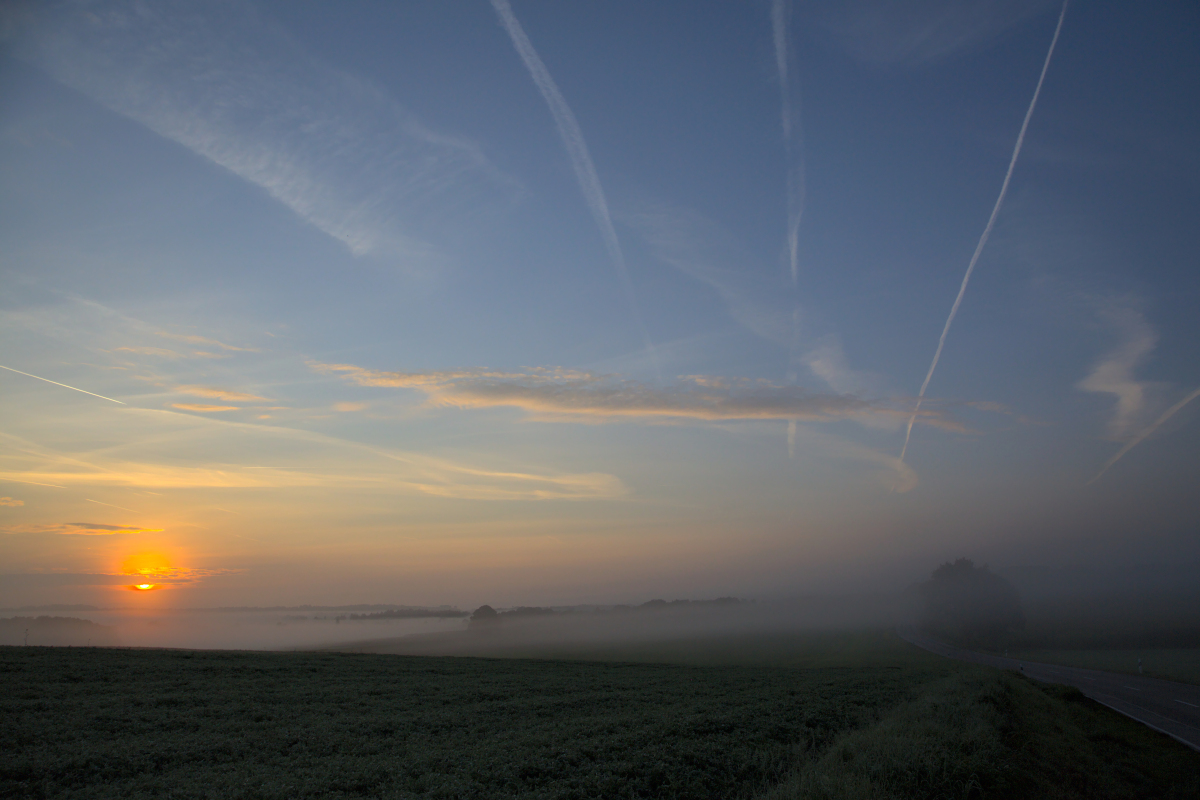 Early Morning Fog