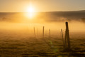 The Morning Breaks