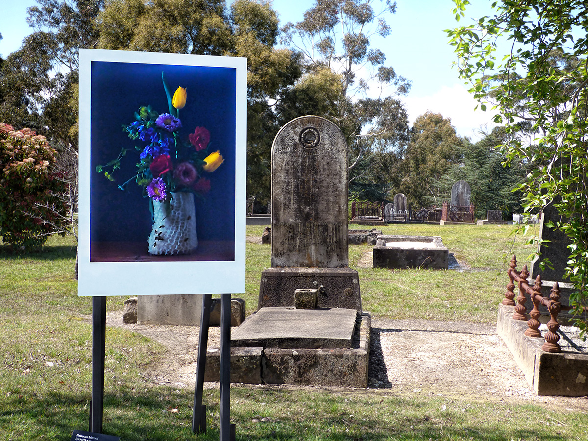 Photo Biennale in the Cemetery = Arts in the Parks?