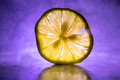 Enlightened Lemon with window of opportunity