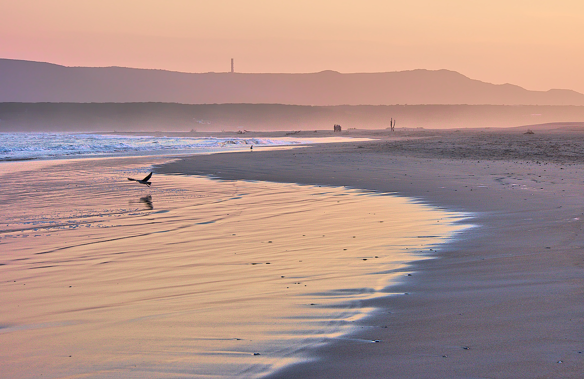 Beach Sunset