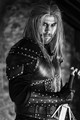 The Witcher