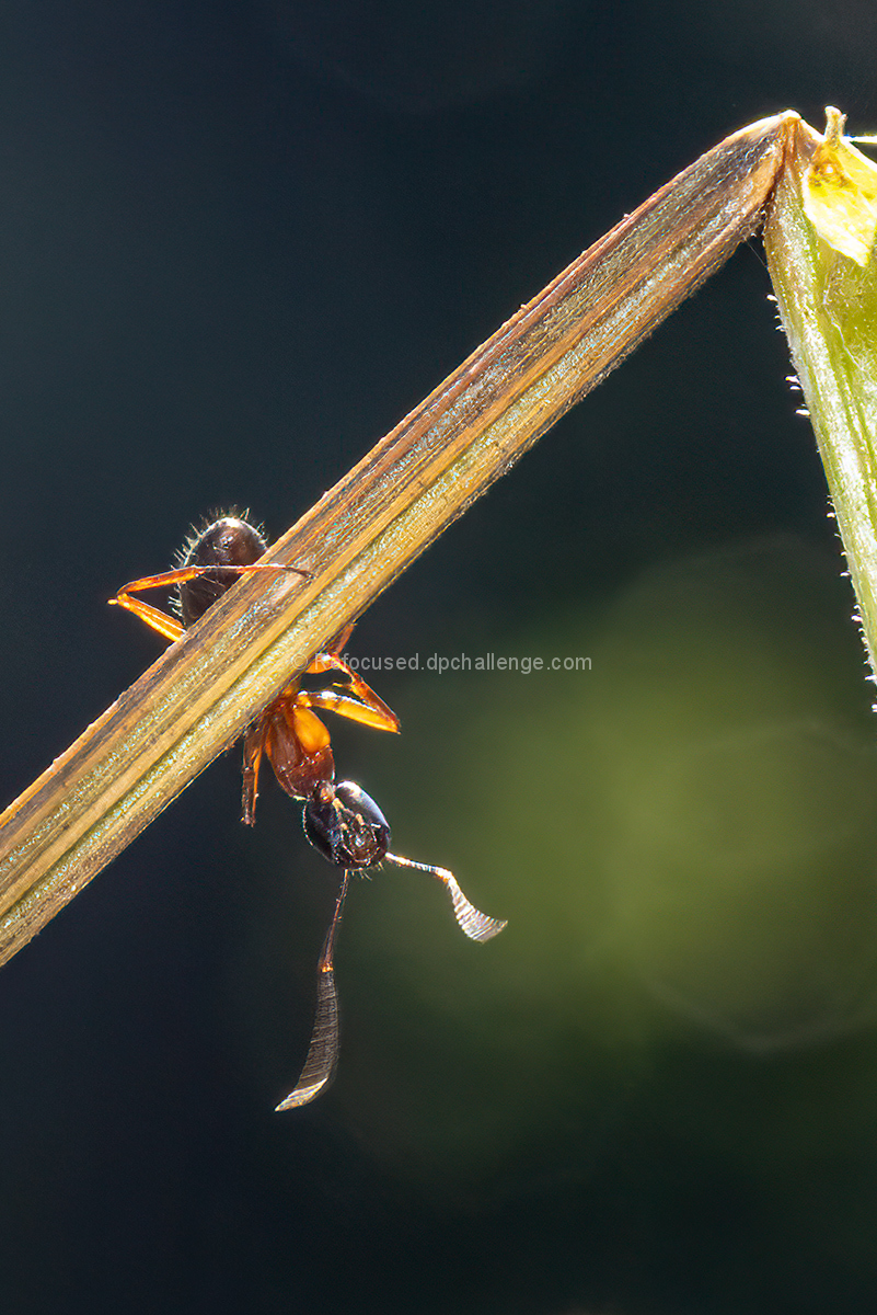 Hanging On