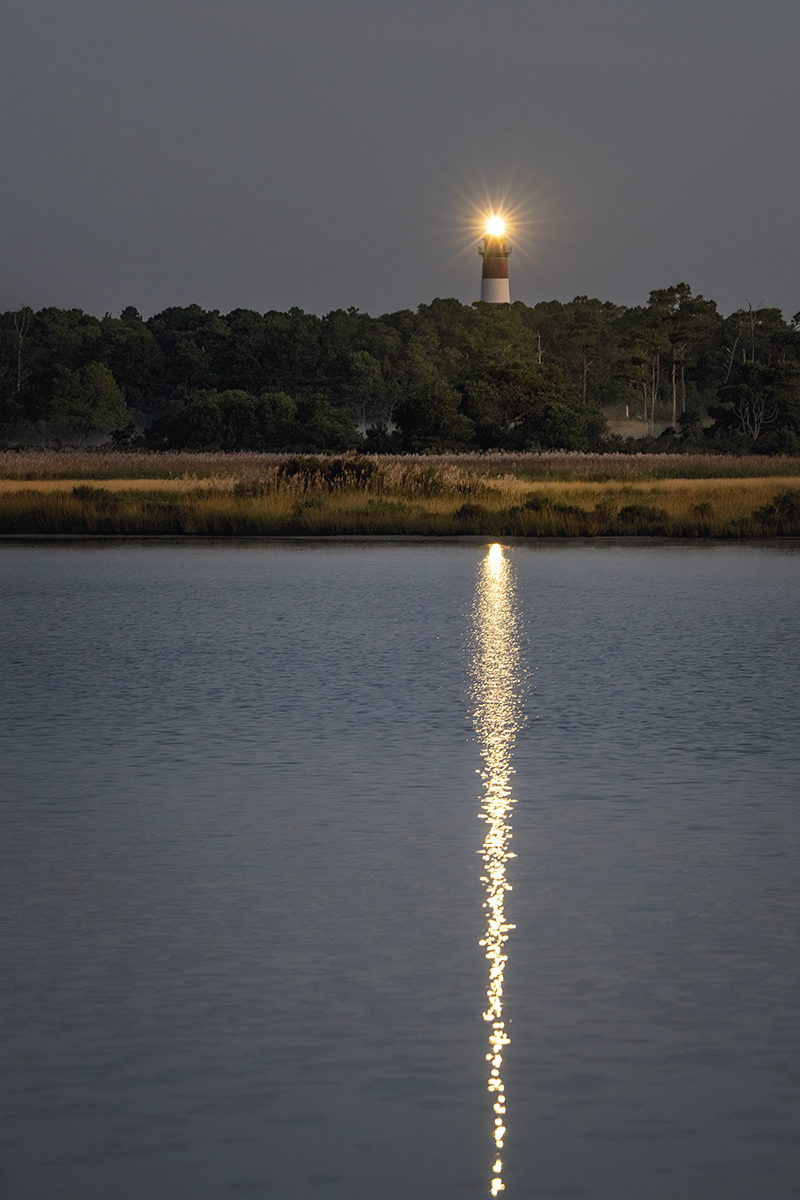 Good Morning, Chincoteague