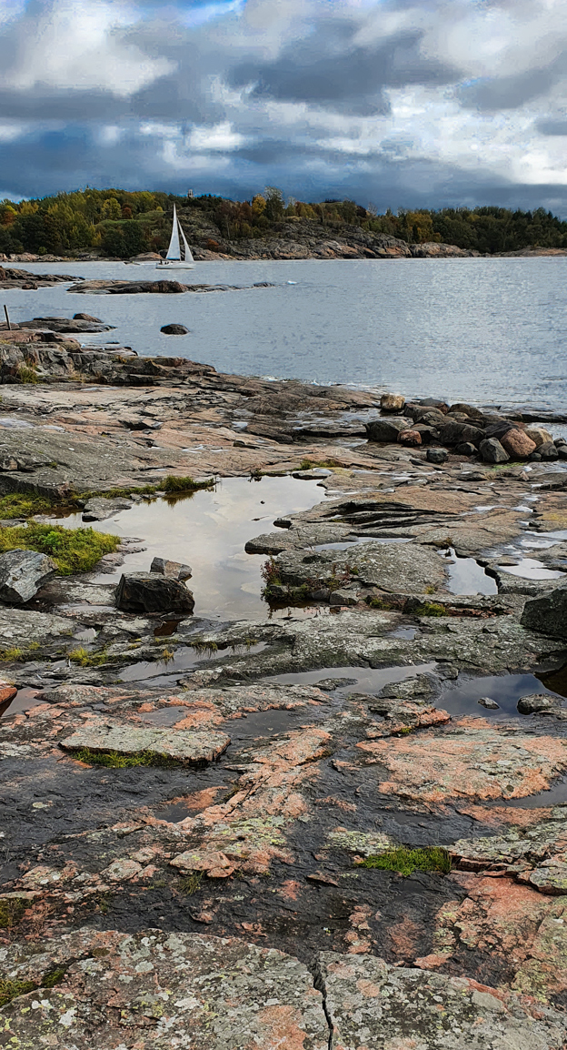 rocky coast