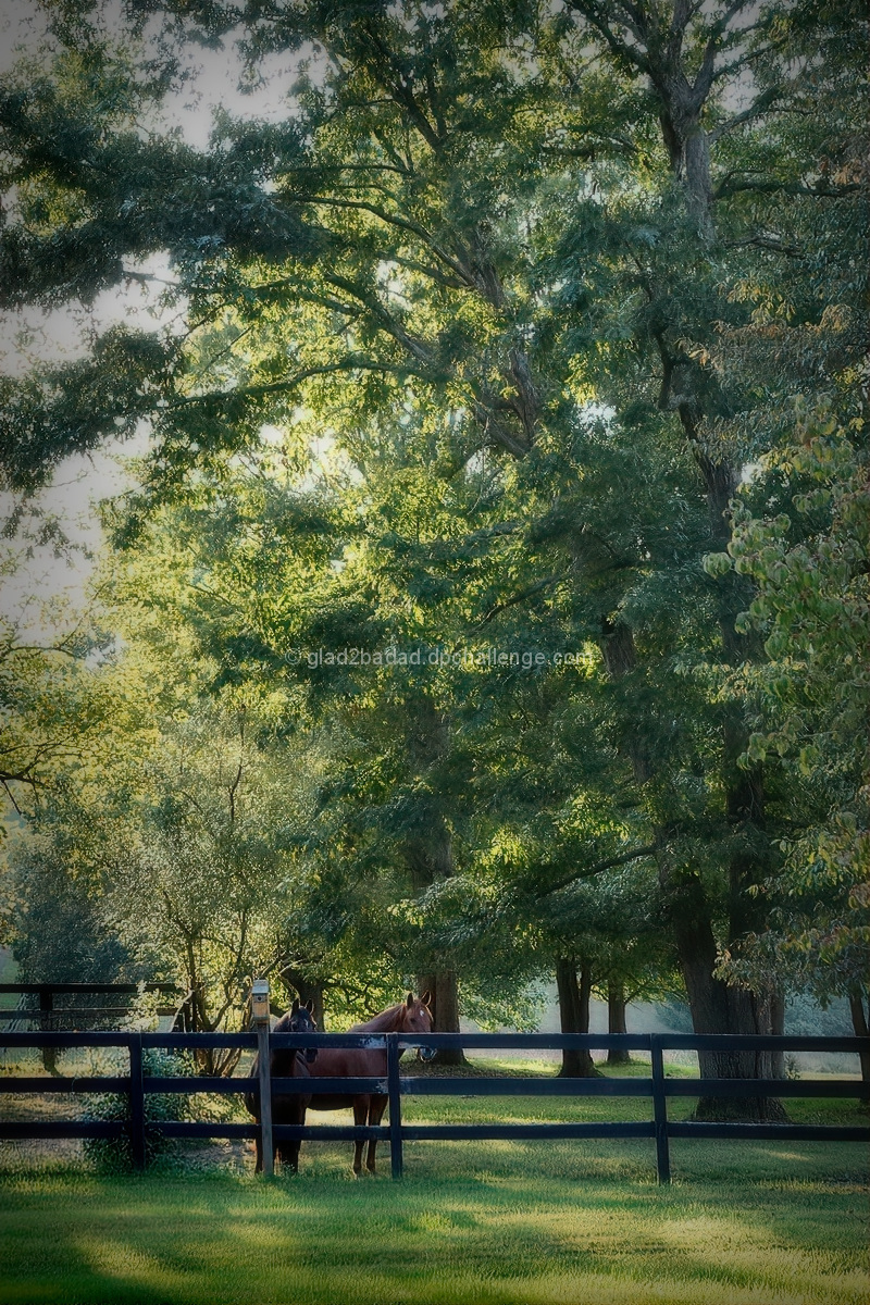 Early Autumn View