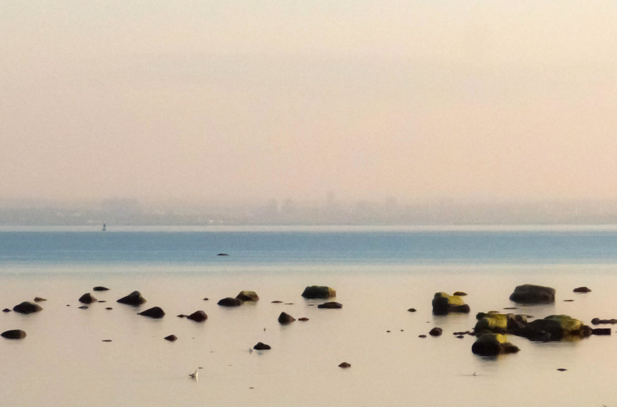 Hazy summer morning
