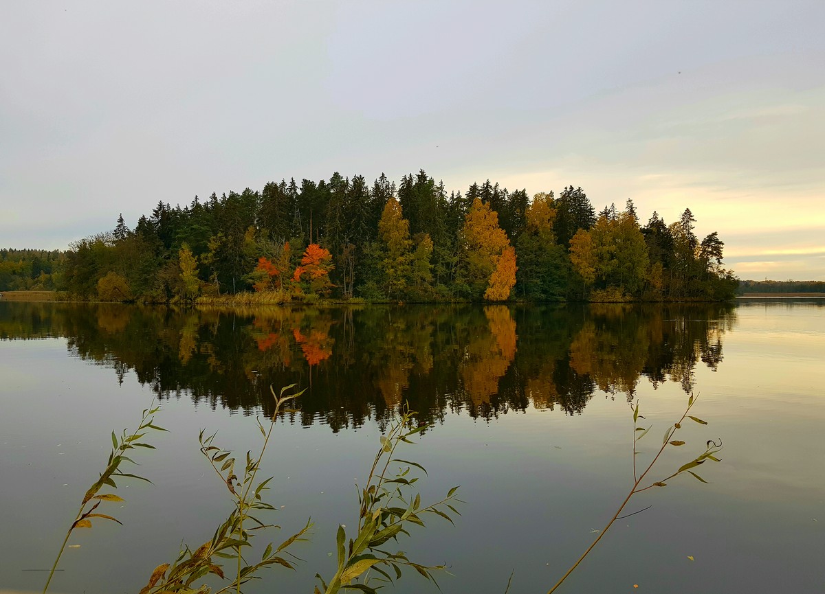 Colors of Autumn 