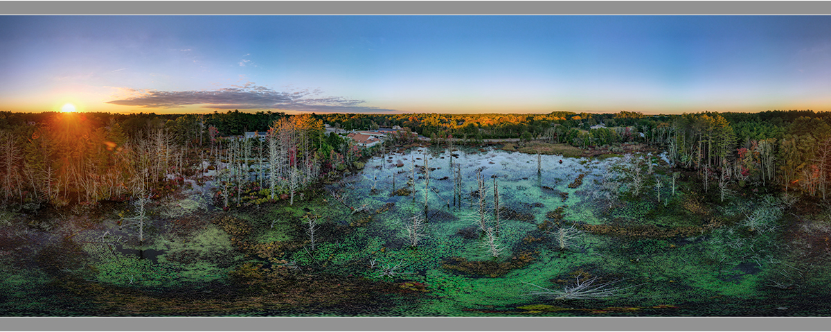 Swamp Pond at Sundown