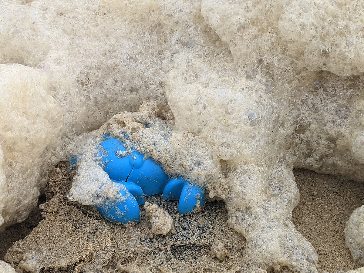 The Crab Before the Storm