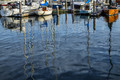 rippling sailboat masts