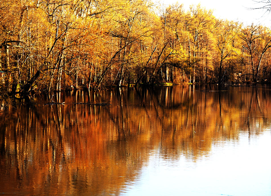 reflect