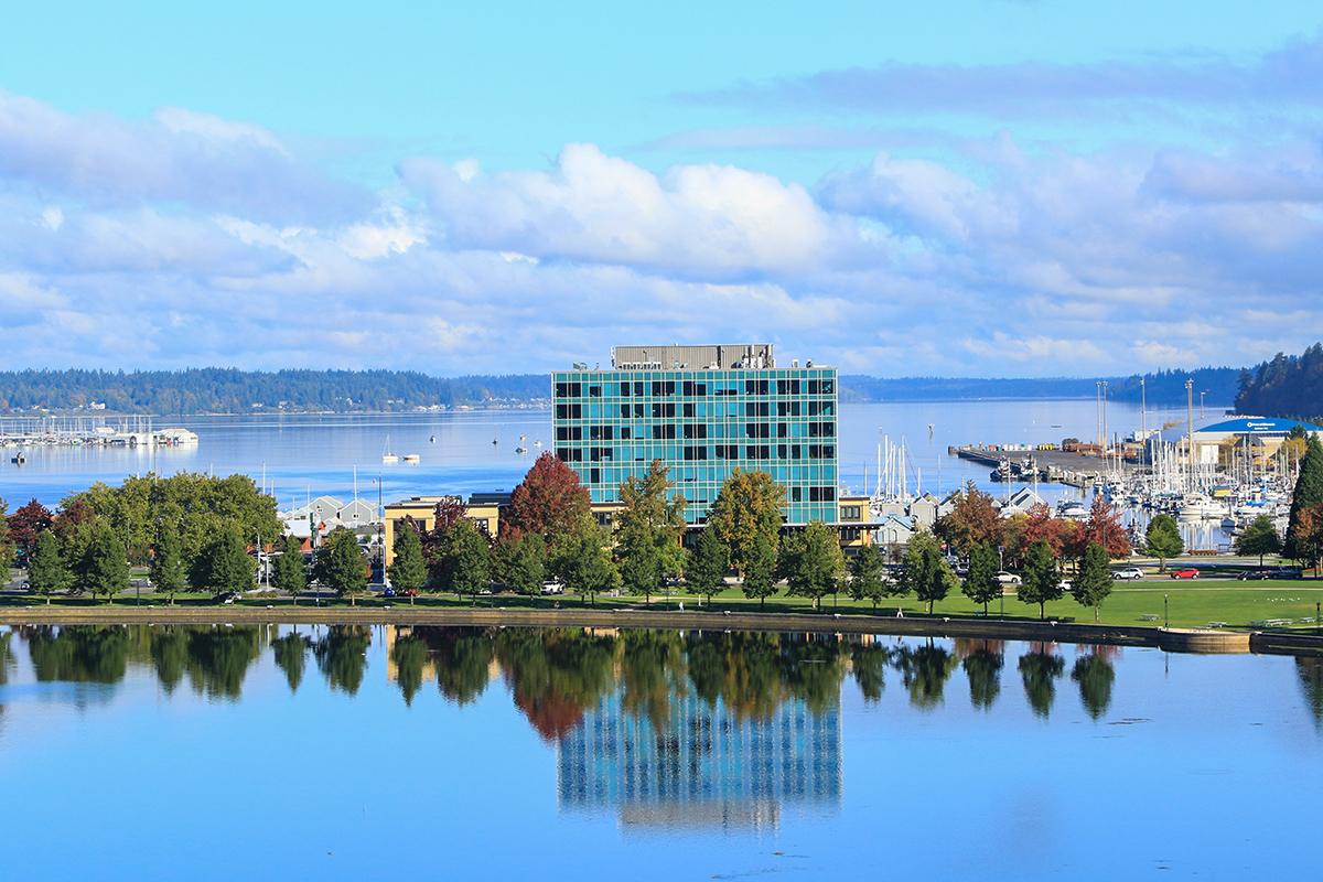 blue reflections