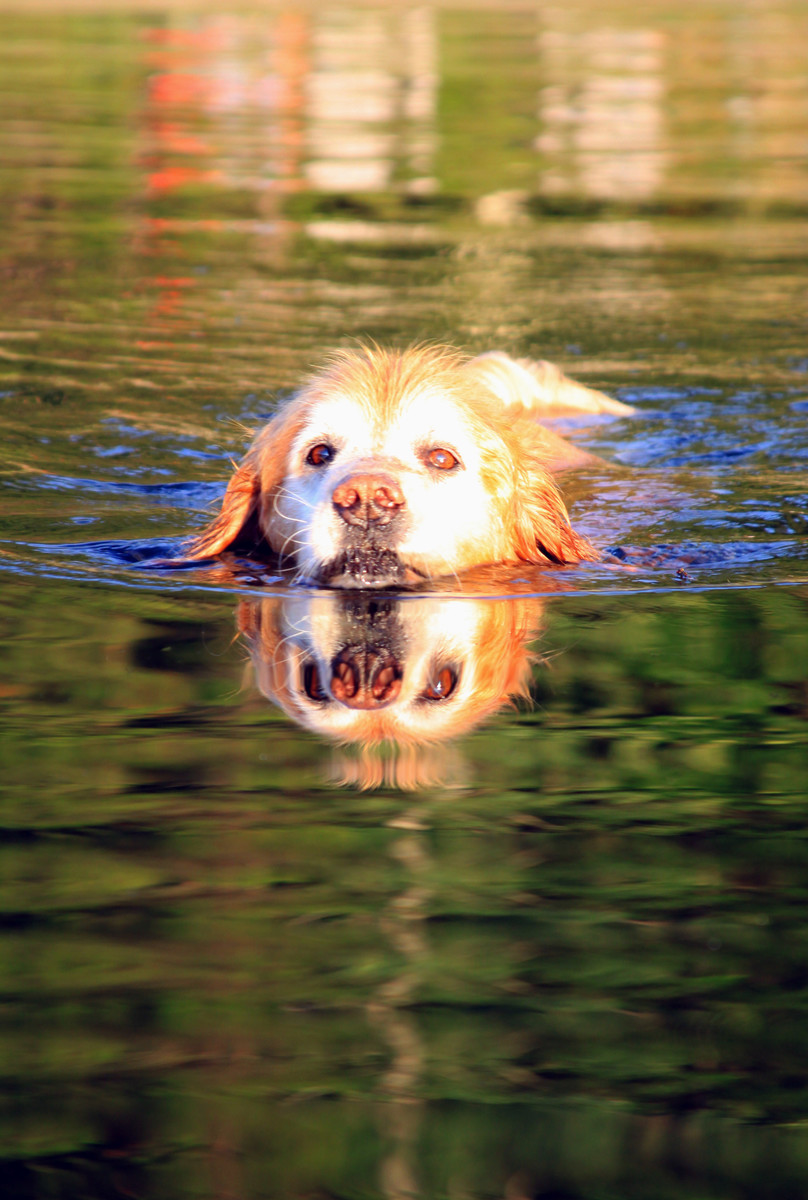 Sunny reflected