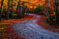 Photographers Notes :: 'Humbled ~ Blessed ~ Grateful'