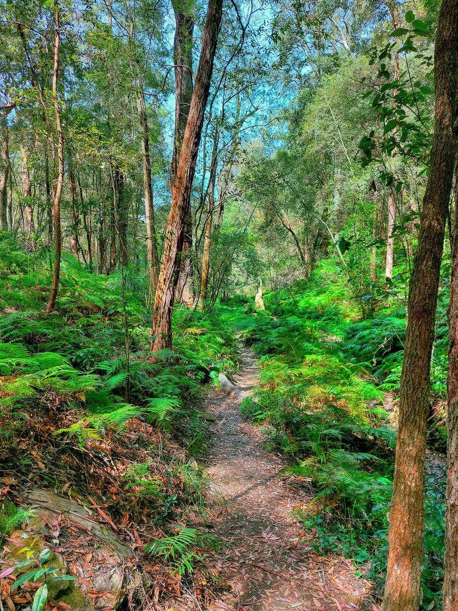 A Morning hike