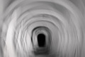 The Rabbit Hole