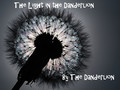 The Light in the Danderlion