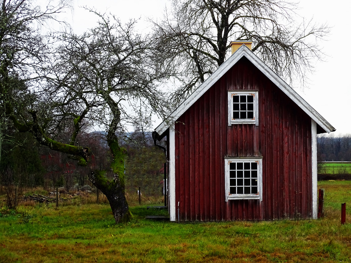 Typical Red Old House In My Country