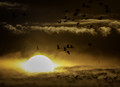 Last Light