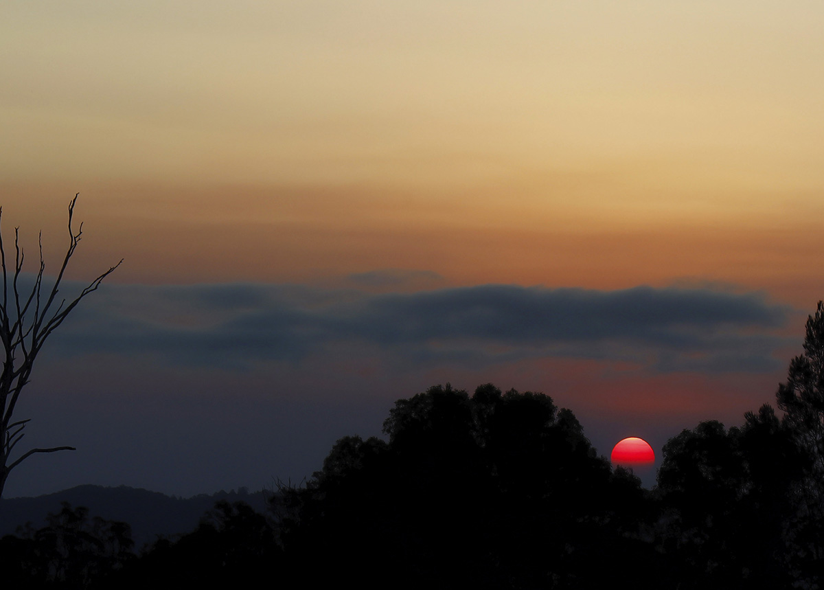 Red hot summer evening