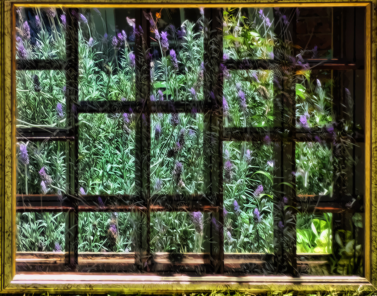 Lavender in a Mirrored Shadow Box