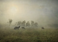 Keepers of the Herd